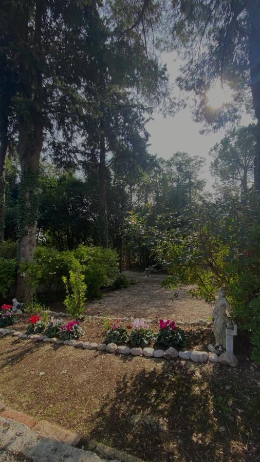 Hotel Casal Camillo Case Selva Grande Esterno foto